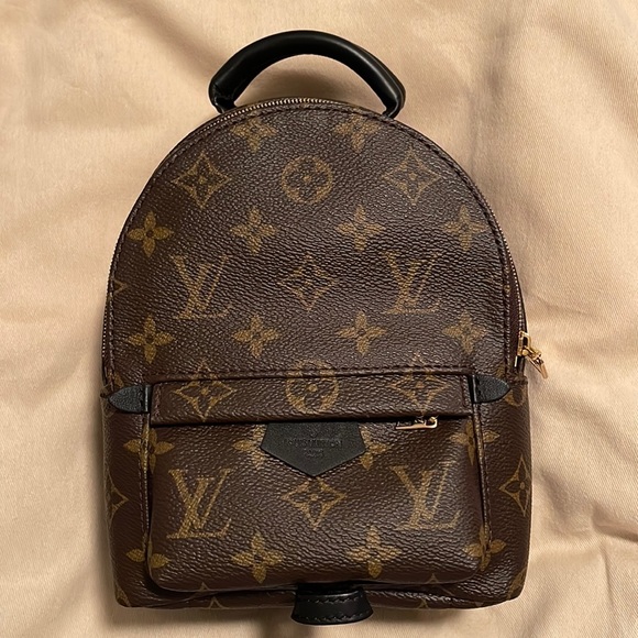 Louis Vuitton Palm Springs Mini - Picture 1 of 5